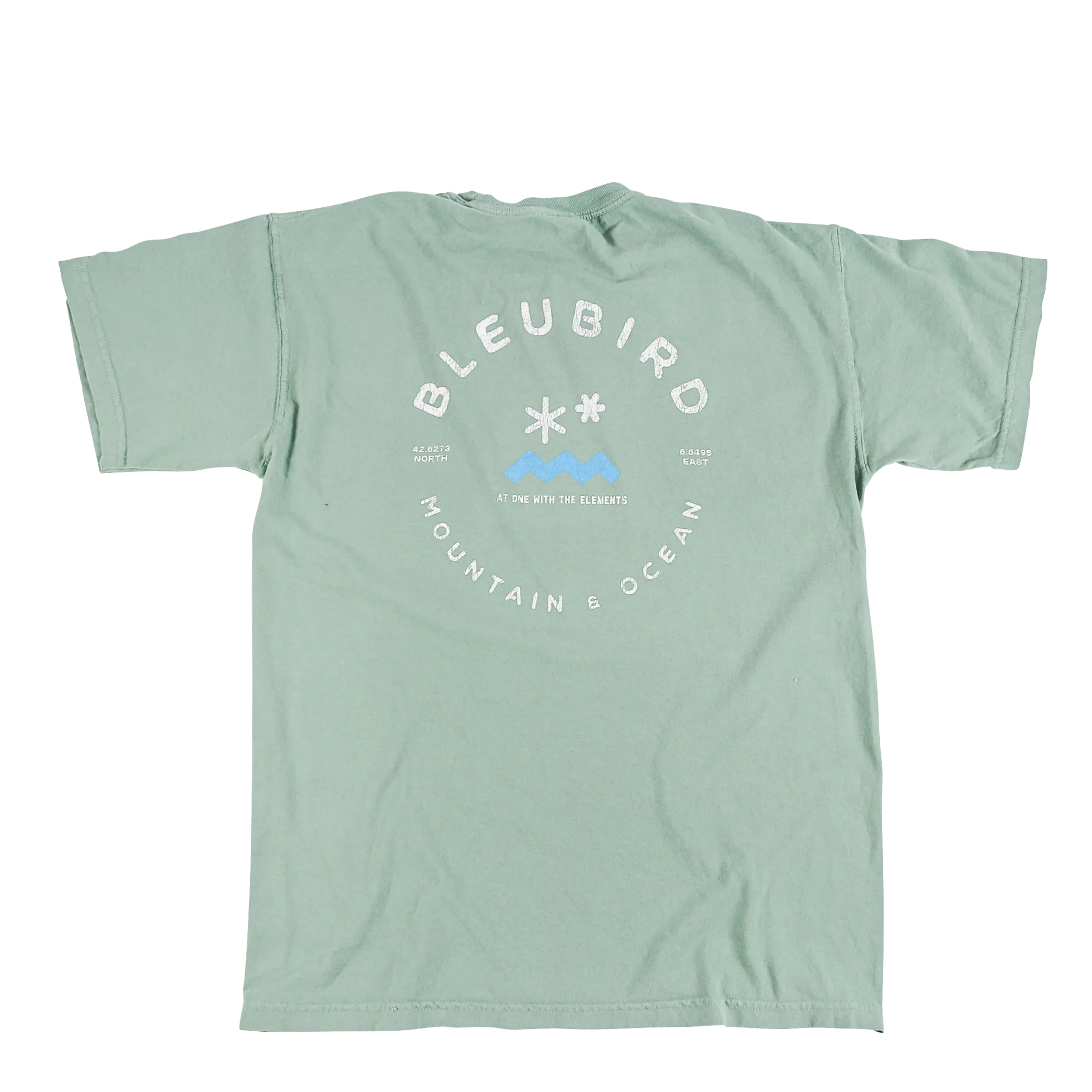 BleuBird Original Tee