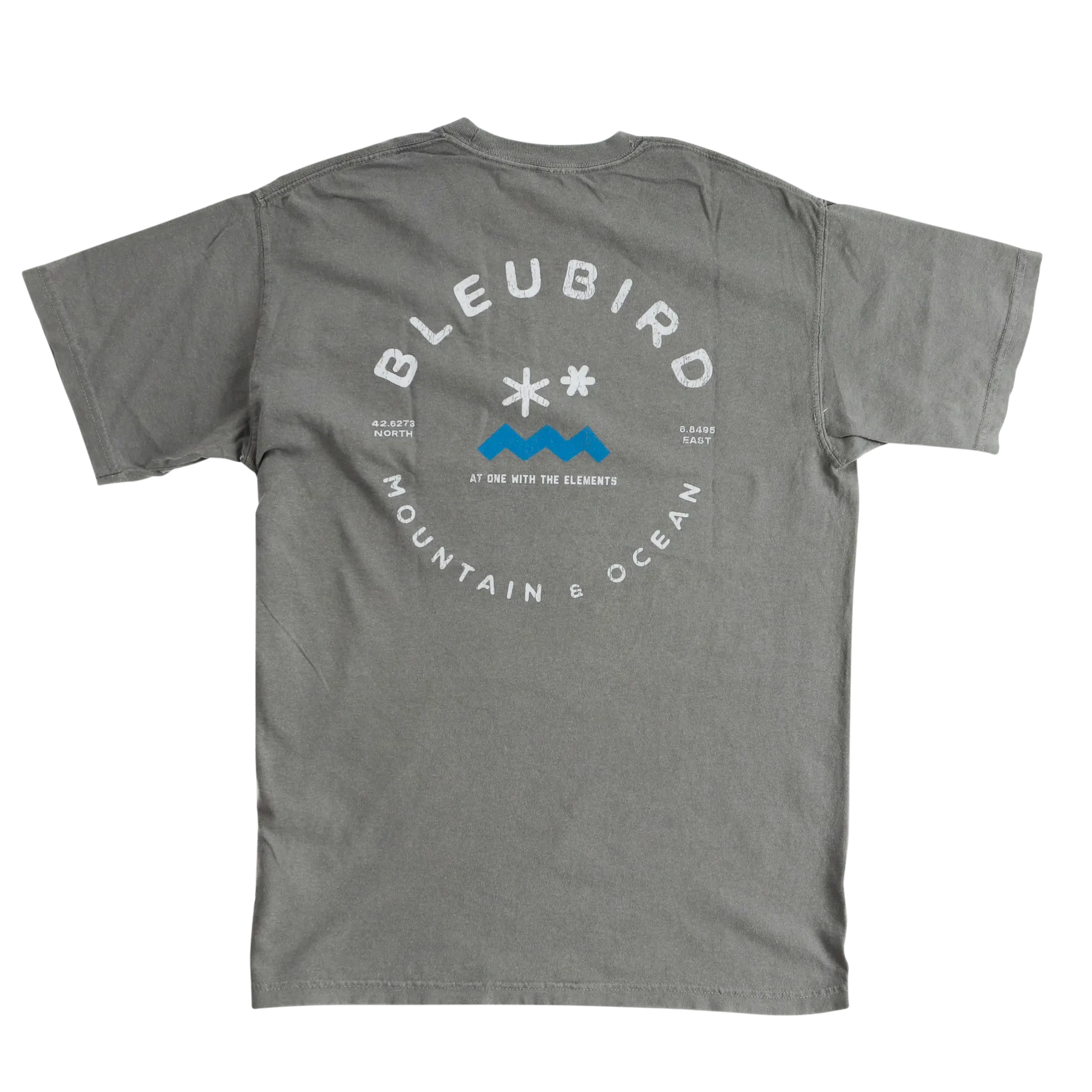 BleuBird Original Tee